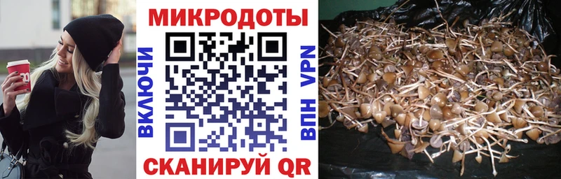 Псилоцибиновые грибы прущие грибы  omg tor  Унеча 